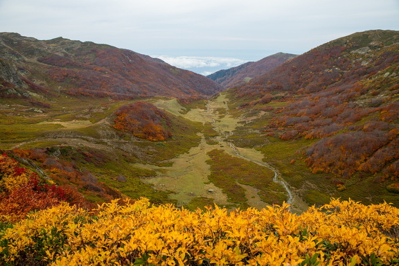 Грузия, Аджария